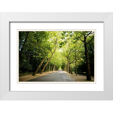 Amsterdam Vondelpark I White Modern Wood Framed Art Print with Double Matting by Berzel, Erin