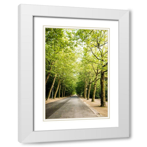 Amsterdam Vondelpark II White Modern Wood Framed Art Print with Double Matting by Berzel, Erin