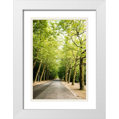 Amsterdam Vondelpark II White Modern Wood Framed Art Print with Double Matting by Berzel, Erin