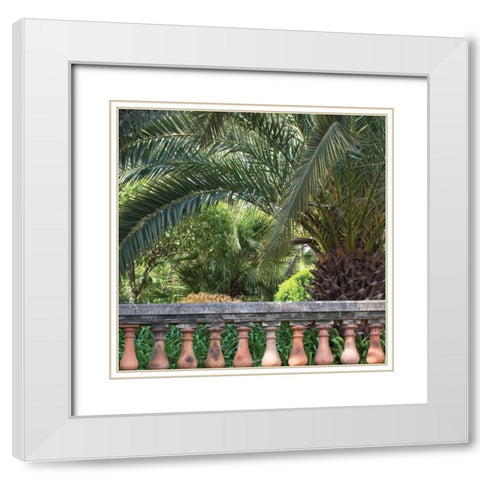 Palace Garden Palms I White Modern Wood Framed Art Print with Double Matting by Crane, Rita