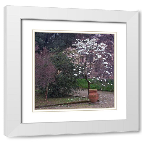 Garden Glimpse I White Modern Wood Framed Art Print with Double Matting by Crane, Rita