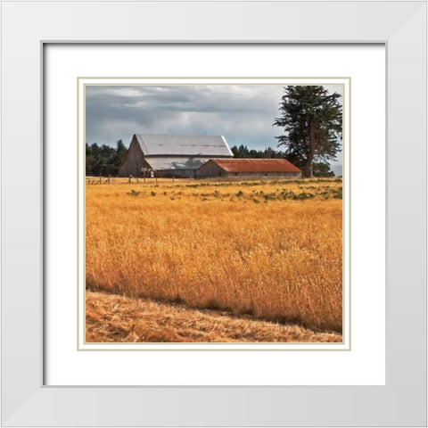 Golden Fields I White Modern Wood Framed Art Print with Double Matting by Crane, Rita