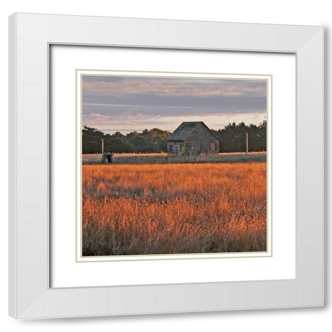 Golden Fields II White Modern Wood Framed Art Print with Double Matting by Crane, Rita