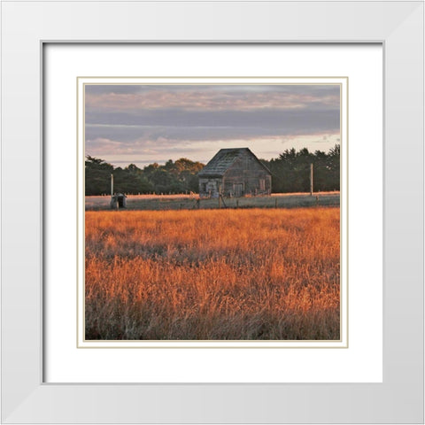 Golden Fields II White Modern Wood Framed Art Print with Double Matting by Crane, Rita