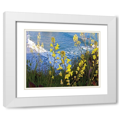 Wild Mustard White Modern Wood Framed Art Print with Double Matting by Crane, Rita