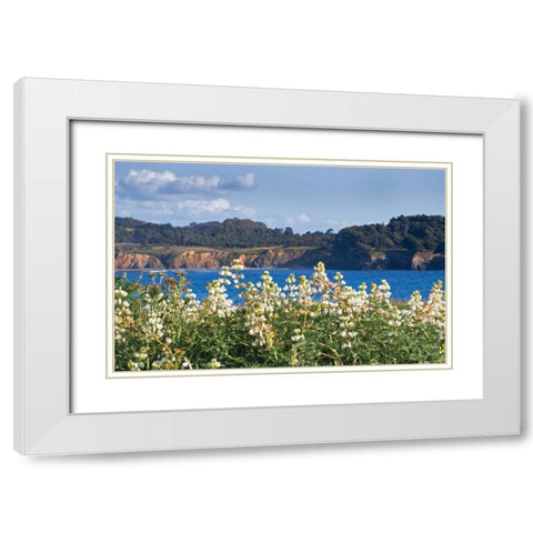 Wild Lupine White Modern Wood Framed Art Print with Double Matting by Crane, Rita