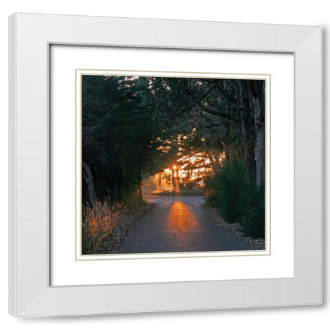 The Road Home White Modern Wood Framed Art Print with Double Matting by Crane, Rita