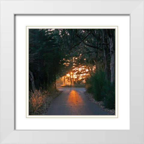 The Road Home White Modern Wood Framed Art Print with Double Matting by Crane, Rita