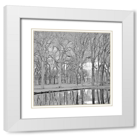 Along the Canal White Modern Wood Framed Art Print with Double Matting by Crane, Rita