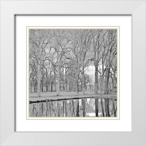 Along the Canal White Modern Wood Framed Art Print with Double Matting by Crane, Rita