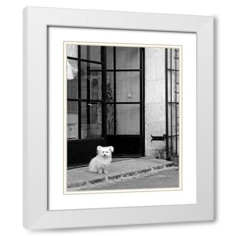 Little Dog V White Modern Wood Framed Art Print with Double Matting by Crane, Rita