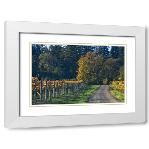 After the Harvest I White Modern Wood Framed Art Print with Double Matting by Crane, Rita