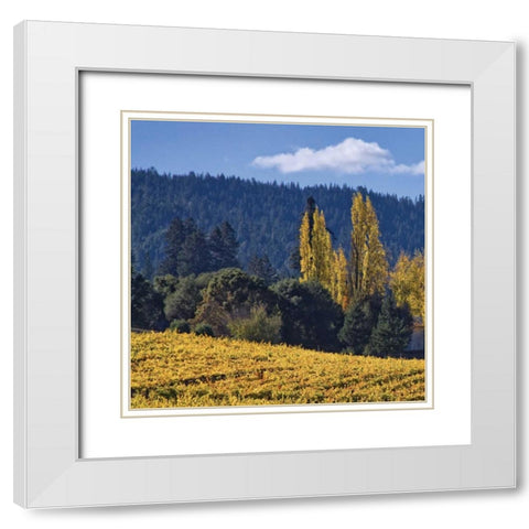 Autumn Gold II White Modern Wood Framed Art Print with Double Matting by Crane, Rita