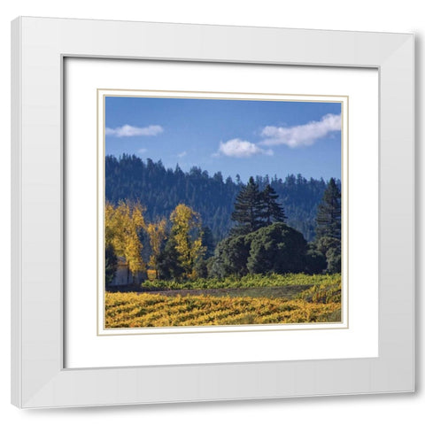 Autumn Gold III White Modern Wood Framed Art Print with Double Matting by Crane, Rita