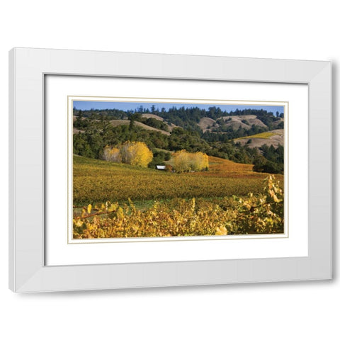 Barns and Vineyards II White Modern Wood Framed Art Print with Double Matting by Crane, Rita