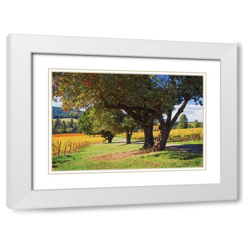 Oak and Vine II White Modern Wood Framed Art Print with Double Matting by Crane, Rita