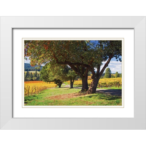 Oak and Vine II White Modern Wood Framed Art Print with Double Matting by Crane, Rita