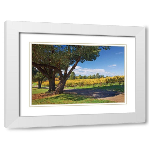 Oak and Vine IV White Modern Wood Framed Art Print with Double Matting by Crane, Rita