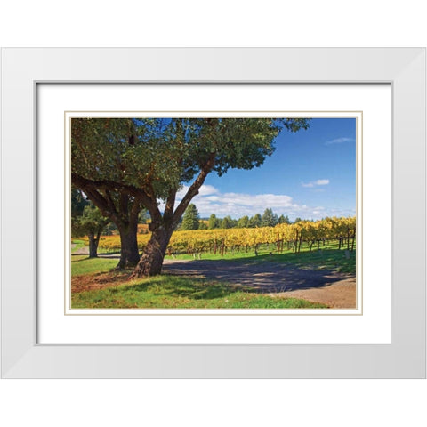 Oak and Vine IV White Modern Wood Framed Art Print with Double Matting by Crane, Rita