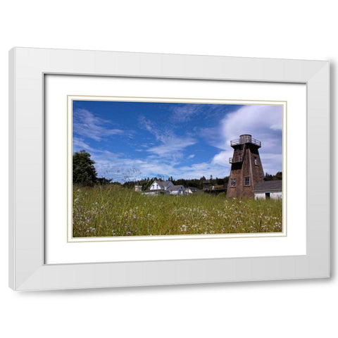 Village Meadow II White Modern Wood Framed Art Print with Double Matting by Crane, Rita