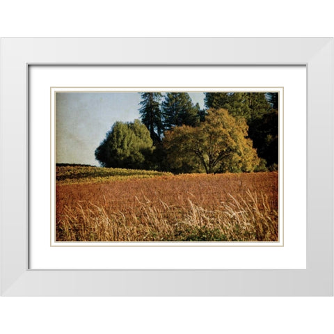 Vineyard Tapestry II White Modern Wood Framed Art Print with Double Matting by Crane, Rita