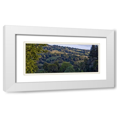 Woodland Pastures I White Modern Wood Framed Art Print with Double Matting by Crane, Rita