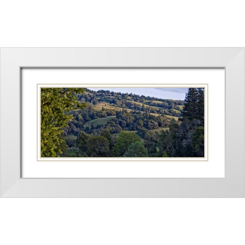 Woodland Pastures I White Modern Wood Framed Art Print with Double Matting by Crane, Rita