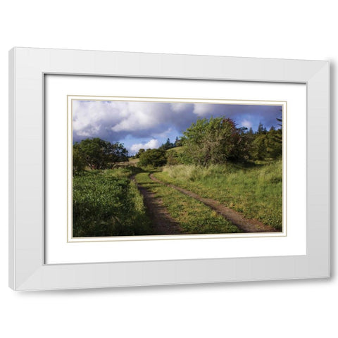In the Country I White Modern Wood Framed Art Print with Double Matting by Crane, Rita