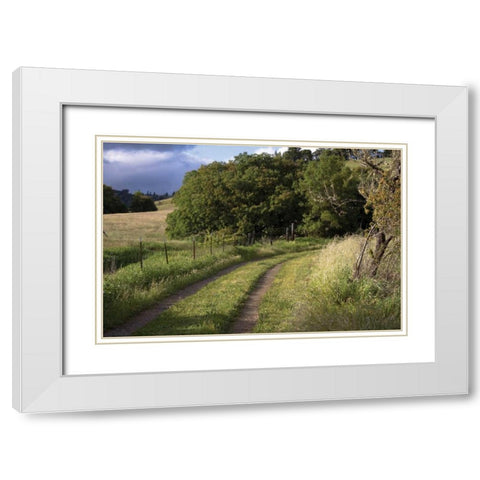 In the Country II White Modern Wood Framed Art Print with Double Matting by Crane, Rita