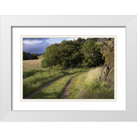 In the Country II White Modern Wood Framed Art Print with Double Matting by Crane, Rita