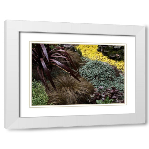 Garden Glimpse IV White Modern Wood Framed Art Print with Double Matting by Crane, Rita