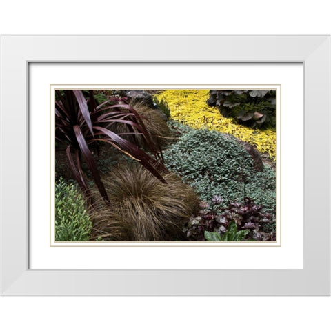 Garden Glimpse IV White Modern Wood Framed Art Print with Double Matting by Crane, Rita