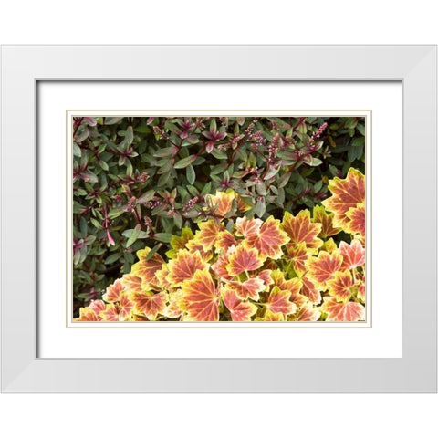 Garden Glimpse IX White Modern Wood Framed Art Print with Double Matting by Crane, Rita