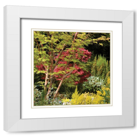 Garden Tapestry II White Modern Wood Framed Art Print with Double Matting by Crane, Rita