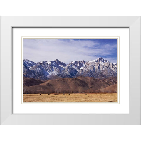 Mt. Whitney Range II White Modern Wood Framed Art Print with Double Matting by Crane, Rita