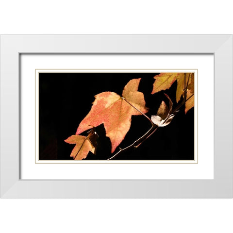 Amber Leaves I White Modern Wood Framed Art Print with Double Matting by Crane, Rita