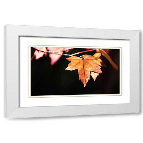 Amber Leaves II White Modern Wood Framed Art Print with Double Matting by Crane, Rita