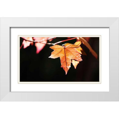 Amber Leaves II White Modern Wood Framed Art Print with Double Matting by Crane, Rita