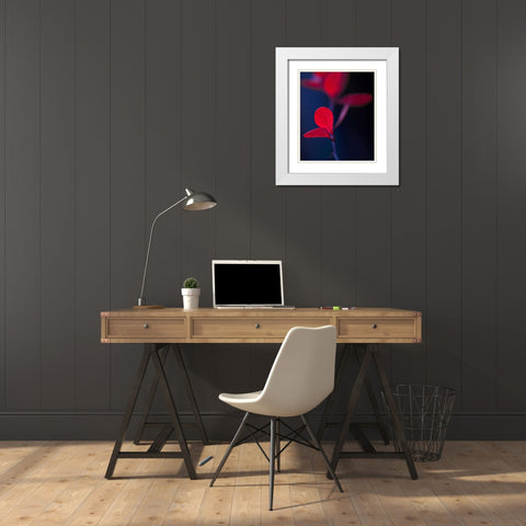 Dancing Blue and Red I White Modern Wood Framed Art Print with Double Matting by Crane, Rita