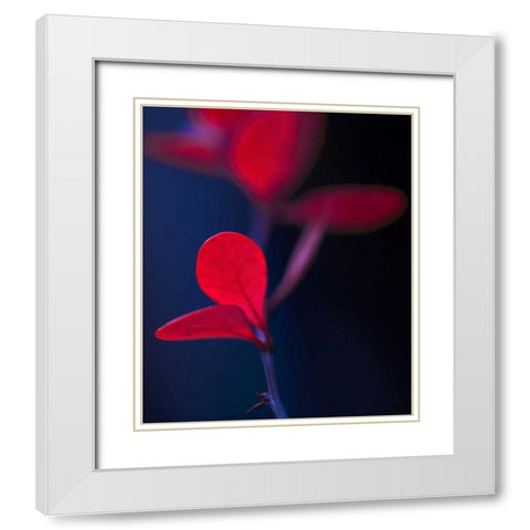 Dancing Blue and Red I White Modern Wood Framed Art Print with Double Matting by Crane, Rita