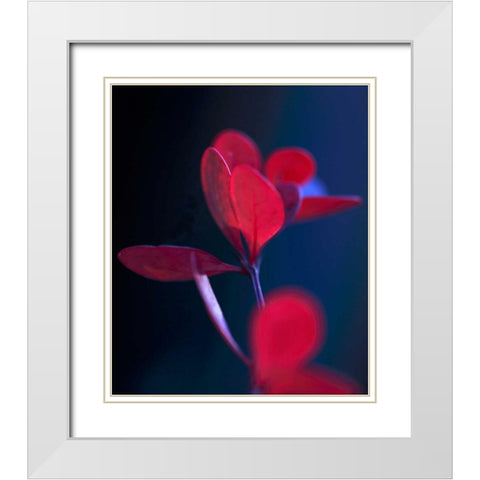 Dancing Blue and Red II White Modern Wood Framed Art Print with Double Matting by Crane, Rita