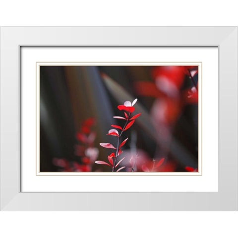 Red Grey Interplay I White Modern Wood Framed Art Print with Double Matting by Crane, Rita