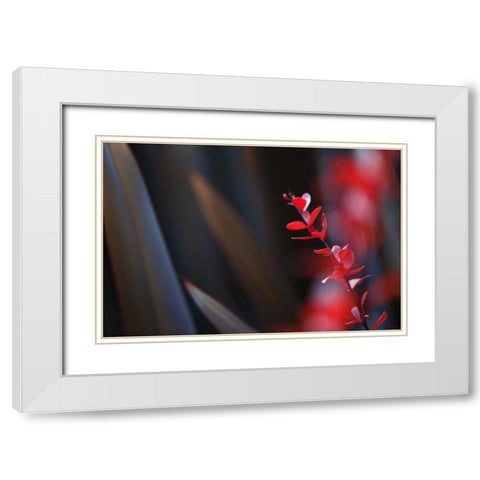Red Grey Interplay II White Modern Wood Framed Art Print with Double Matting by Crane, Rita