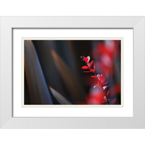 Red Grey Interplay II White Modern Wood Framed Art Print with Double Matting by Crane, Rita