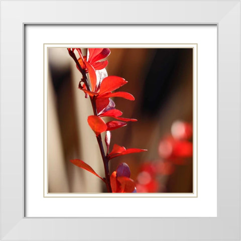 Red Leaves I White Modern Wood Framed Art Print with Double Matting by Crane, Rita