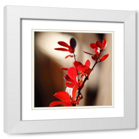 Red Leaves II White Modern Wood Framed Art Print with Double Matting by Crane, Rita