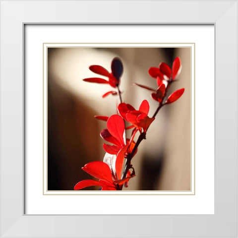 Red Leaves II White Modern Wood Framed Art Print with Double Matting by Crane, Rita
