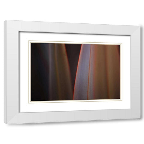 Leaves With Red I White Modern Wood Framed Art Print with Double Matting by Crane, Rita