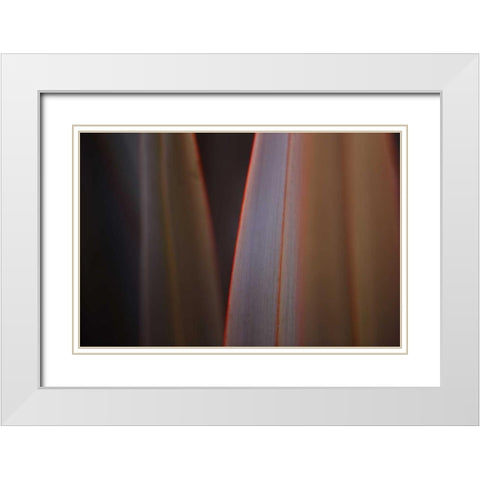 Leaves With Red I White Modern Wood Framed Art Print with Double Matting by Crane, Rita