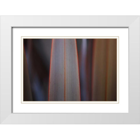 Leaves With Red II White Modern Wood Framed Art Print with Double Matting by Crane, Rita